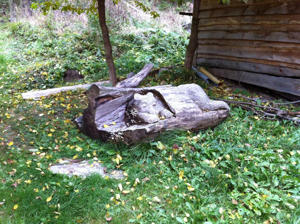 Chata Devena Valča Camera foto